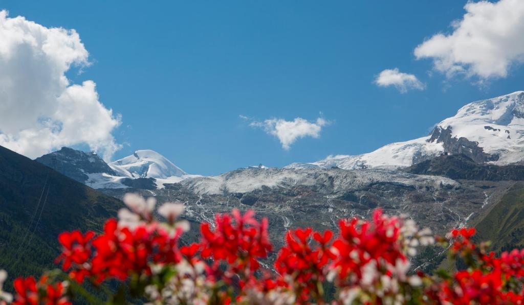 Artemis Easy Self Check In-out होटल Saas-Fee